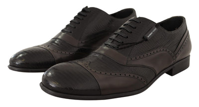 Chaussures Oxford en cuir de lézard marron Dolce &amp; Gabbana