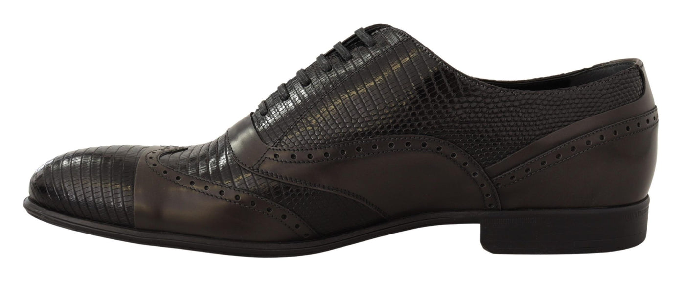 Chaussures Oxford en cuir de lézard marron Dolce &amp; Gabbana