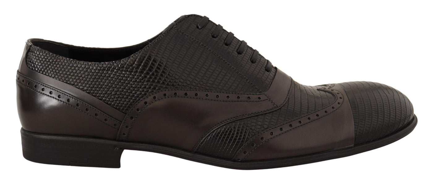 Chaussures Oxford en cuir de lézard marron Dolce &amp; Gabbana
