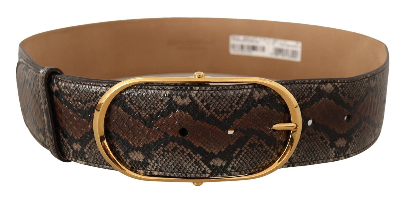 Dolce &amp; Gabbana Bruine Exotische Leren Gouden Ovale Gesp Riem