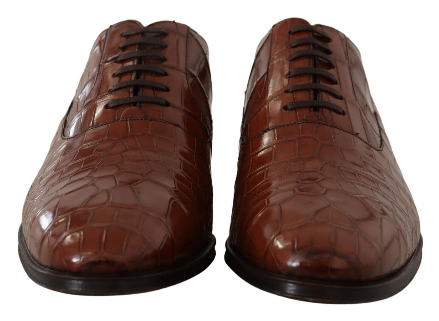 Dolce &amp; Gabbana Bruine Krokodillenleren Heren Formele Derby Schoenen