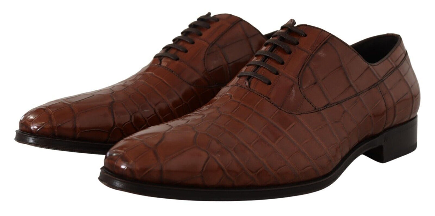 Dolce &amp; Gabbana Bruine Krokodillenleren Heren Formele Derby Schoenen