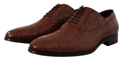 Dolce &amp; Gabbana Bruine Krokodillenleren Heren Formele Derby Schoenen