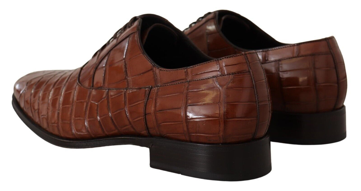 Dolce &amp; Gabbana Bruine Krokodillenleren Heren Formele Derby Schoenen