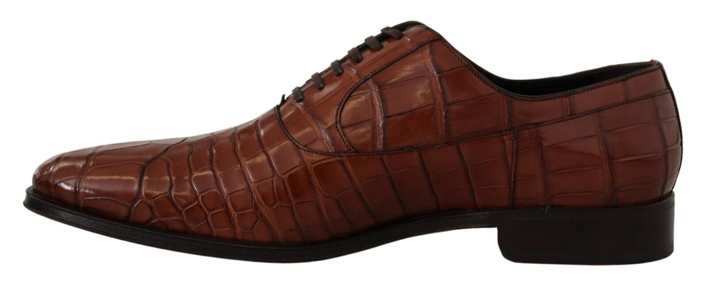 Dolce &amp; Gabbana Bruine Krokodillenleren Heren Formele Derby Schoenen