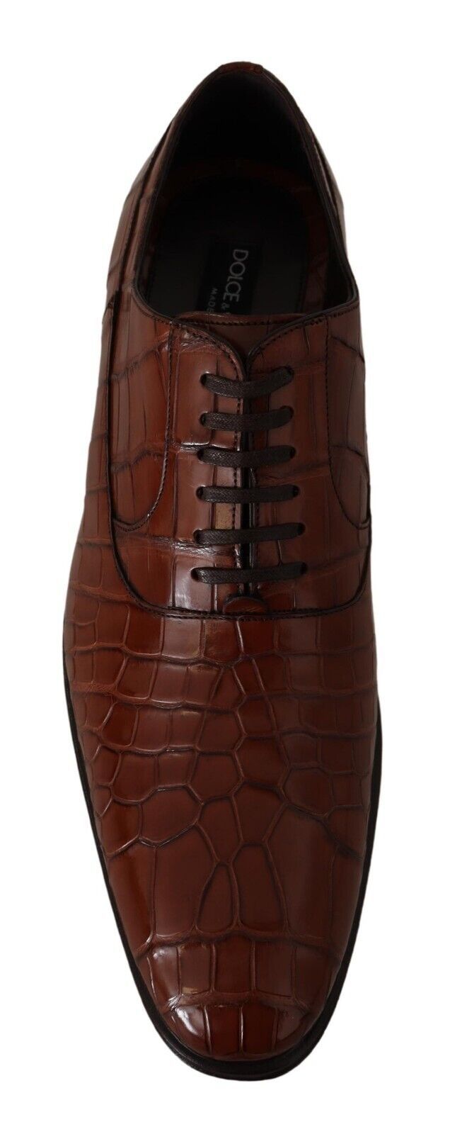 Dolce &amp; Gabbana Bruine Krokodillenleren Heren Formele Derby Schoenen