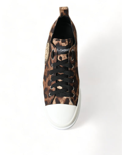 Baskets en toile léopard marron Dolce &amp; Gabbana