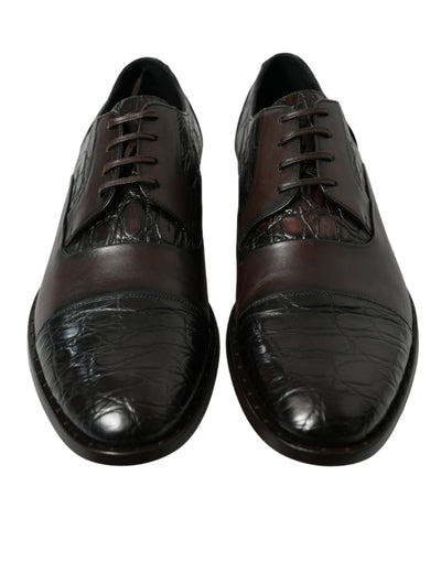 Dolce &amp; Gabbana Bruine Exotische Leren Formele Herenschoenen
