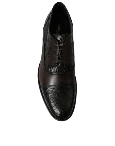 Dolce &amp; Gabbana Bruine Exotische Leren Formele Herenschoenen