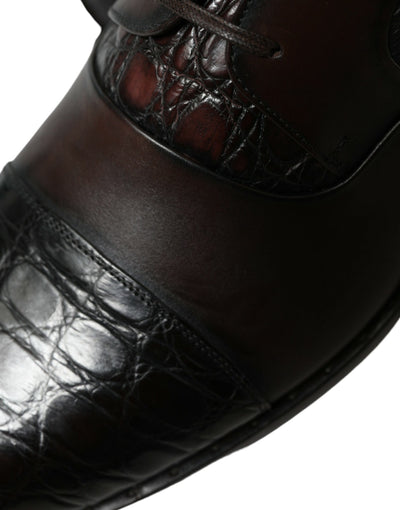 Dolce &amp; Gabbana Bruine Exotische Leren Formele Herenschoenen