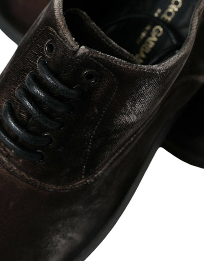 Dolce &amp; Gabbana Bruine Fluwelen Heren Veterschoenen Oxford