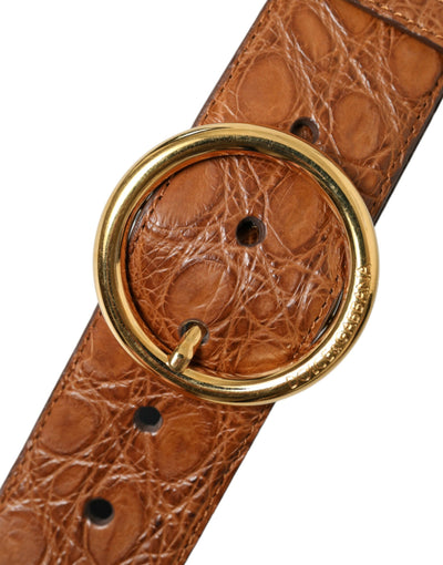 Ceinture à boucle ronde en cuir exotique marron Dolce &amp; Gabbana