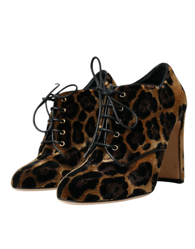 Bottines à lacets à motif léopard marron Dolce &amp; Gabbana