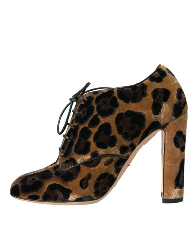 Bottines à lacets à motif léopard marron Dolce &amp; Gabbana
