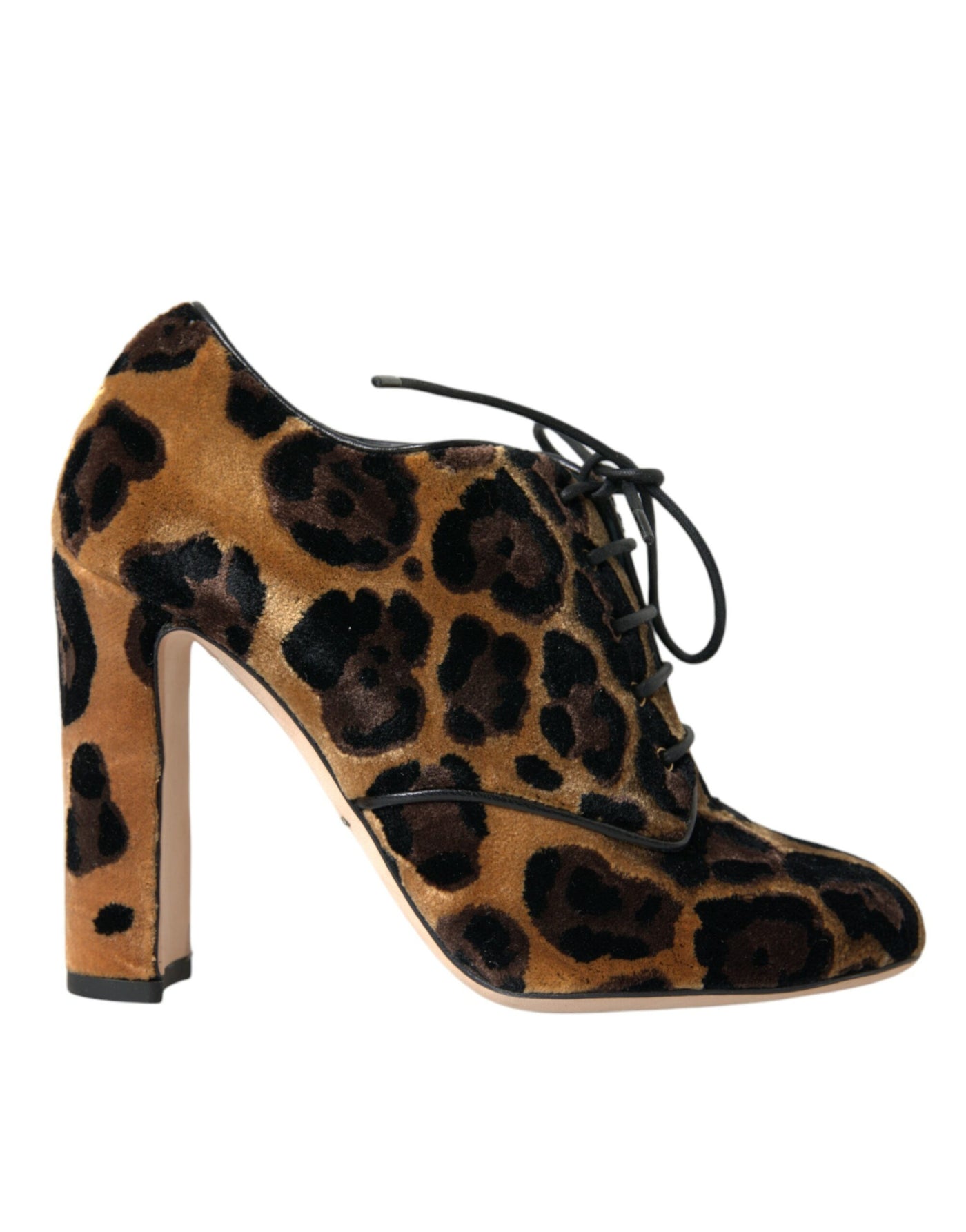 Bottines à lacets à motif léopard marron Dolce &amp; Gabbana