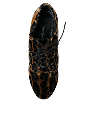 Bottines à lacets à motif léopard marron Dolce &amp; Gabbana
