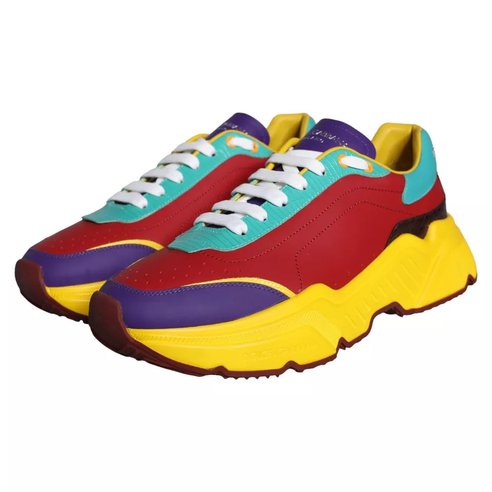 Dolce &amp; Gabbana Multicolor Daymaster Low Top Sneakers Schoenen