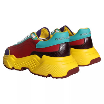 Dolce &amp; Gabbana Multicolor Daymaster Low Top Sneakers Schoenen