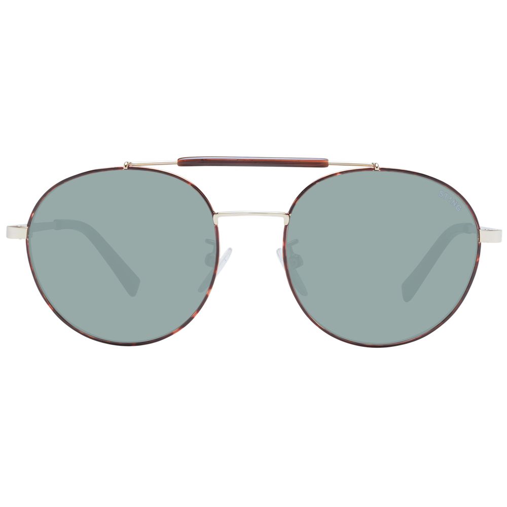 Lunettes de soleil Sting Brown pour homme