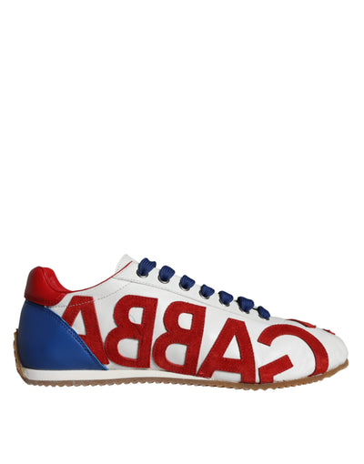 Dolce &amp; Gabbana Multicolor leren logo casual sneakers schoenen
