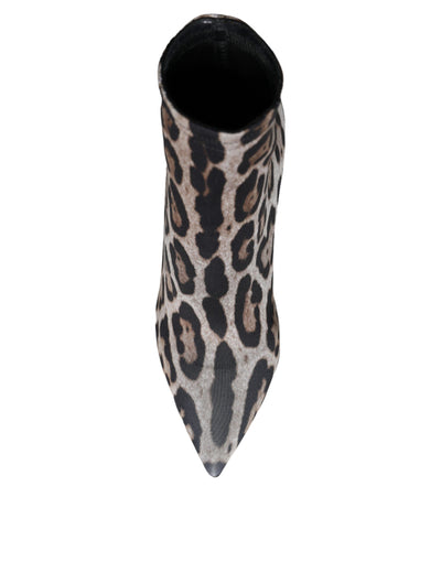 Bottines à talons extensibles léopard grises Dolce &amp; Gabbana