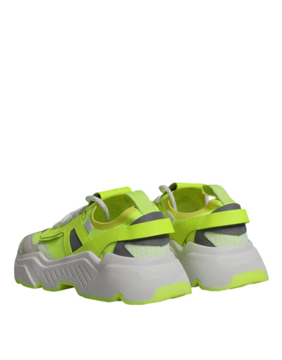 Dolce &amp; Gabbana Multicolor Daymaster Low Top Sneakers Schoenen
