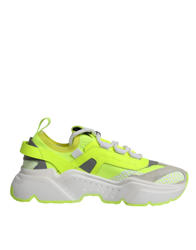 Dolce &amp; Gabbana Multicolor Daymaster Low Top Sneakers Schoenen