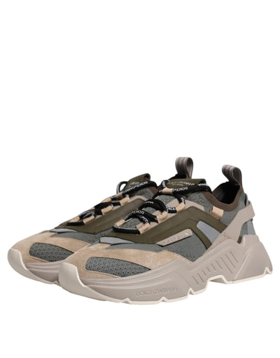 Dolce &amp; Gabbana Multicolor Daymaster Low Top Sneakers Schoenen