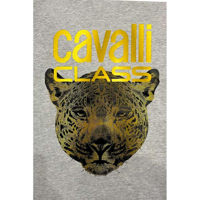 Cavalli Class Gray Polyester Men Hoodie
