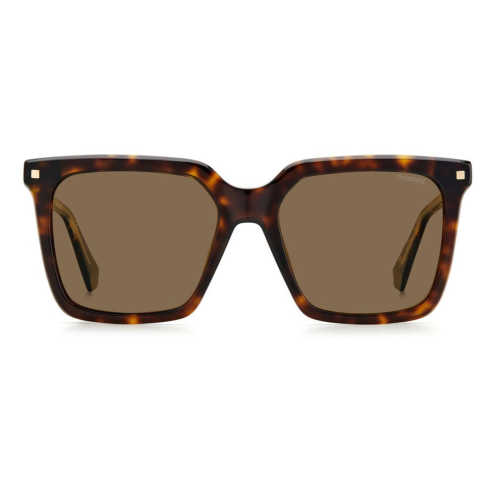 Lunettes de soleil Polaroid en acétate marron