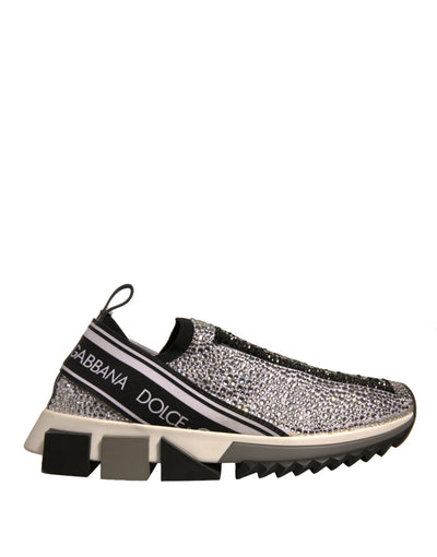 Dolce &amp; Gabbana Zilveren Strass Sorrento Sneakers Schoenen