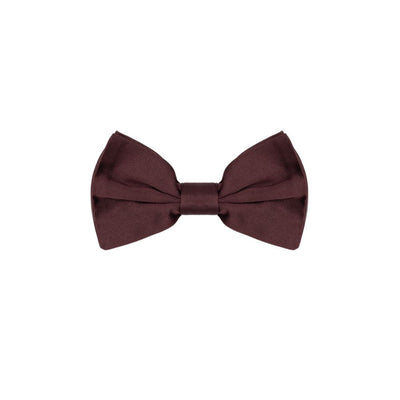 Nœud papillon en soie bordeaux Dolce &amp; Gabbana