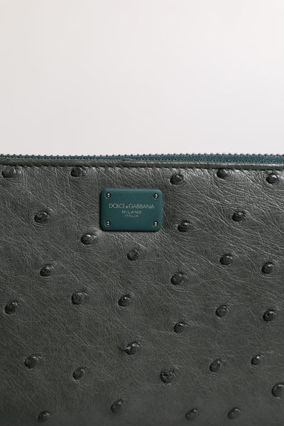 Dolce &amp; Gabbana Groene Ostrich Logo Plaque Ritssluiting Continentale Portemonnee