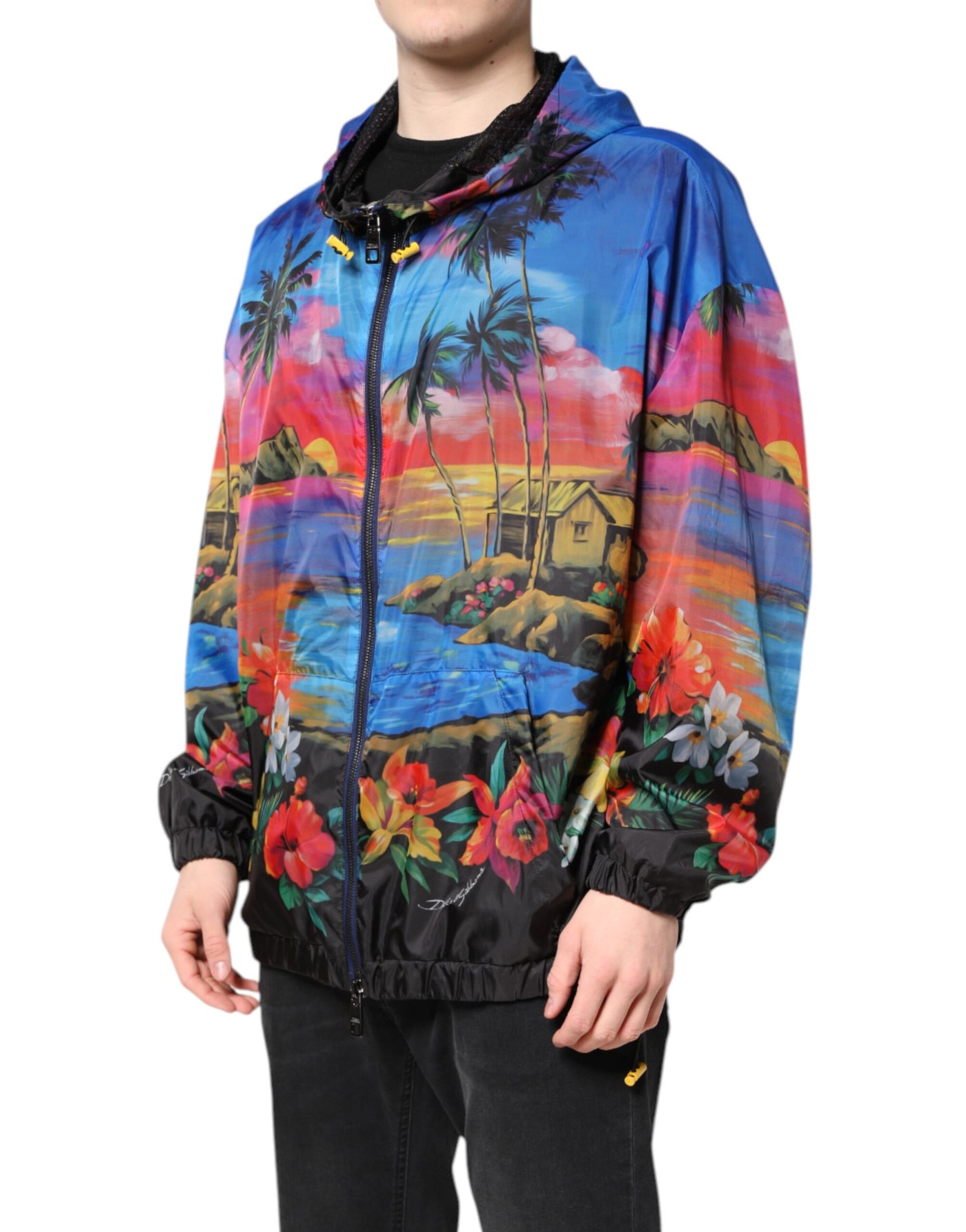 Dolce &amp; Gabbana Multicolor Print Windjack met Capuchon