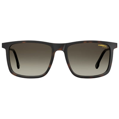 Lunettes de soleil Carrera marron injectées
