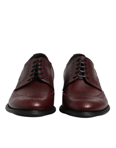 Chaussures Derby à lacets en cuir marron Dolce &amp; Gabbana