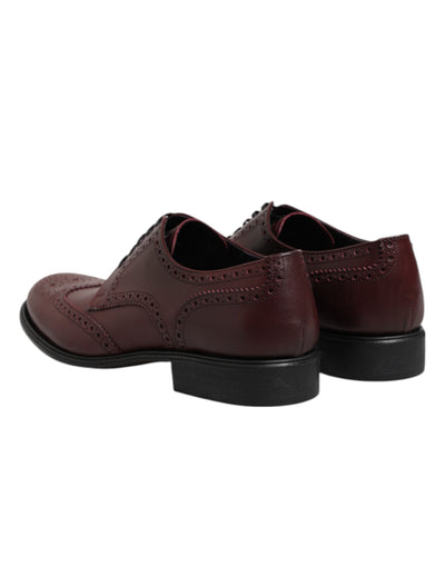 Chaussures Derby à lacets en cuir marron Dolce &amp; Gabbana