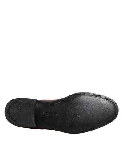 Chaussures Derby à lacets en cuir marron Dolce &amp; Gabbana