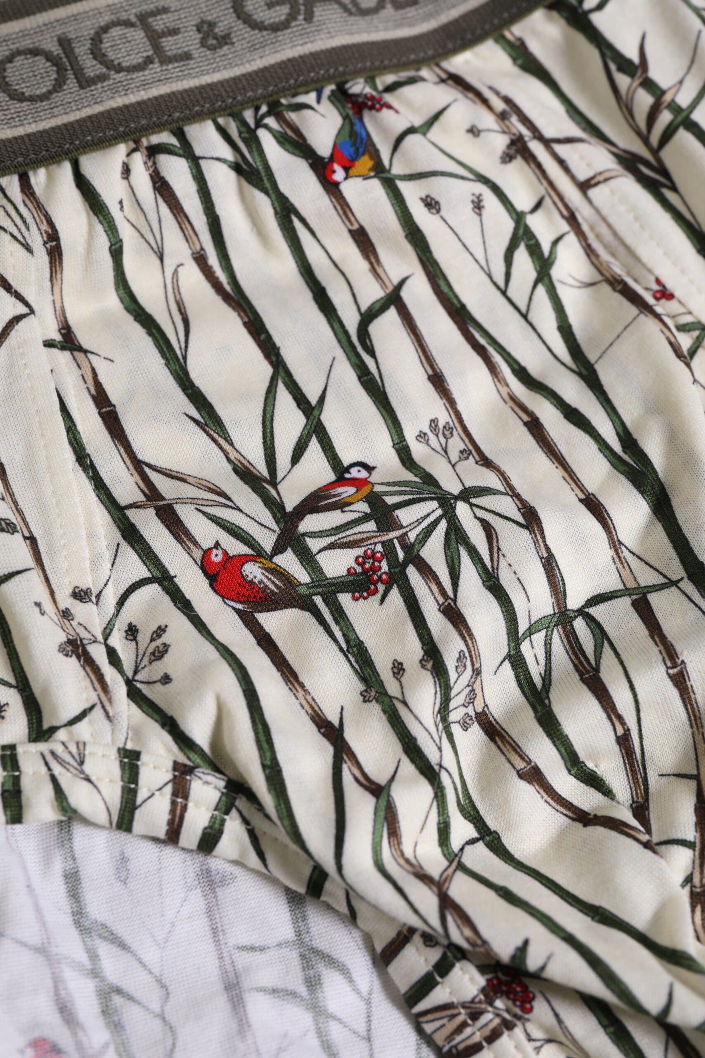 Dolce &amp; Gabbana Ivory Bird Print Katoenen Regular Slip Ondergoed
