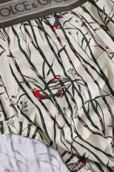 Dolce &amp; Gabbana Ivory Bird Print Katoenen Regular Slip Ondergoed