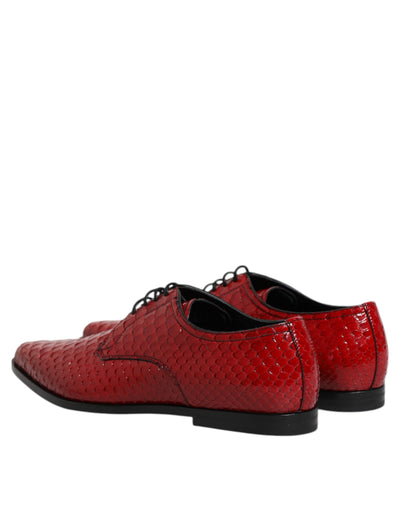 Dolce &amp; Gabbana Rode Exotische Leren Veterschoenen