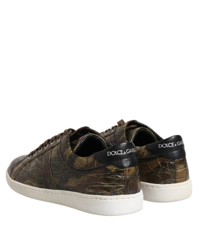 Baskets basses Dolce &amp; Gabbana en cuir exotique marron