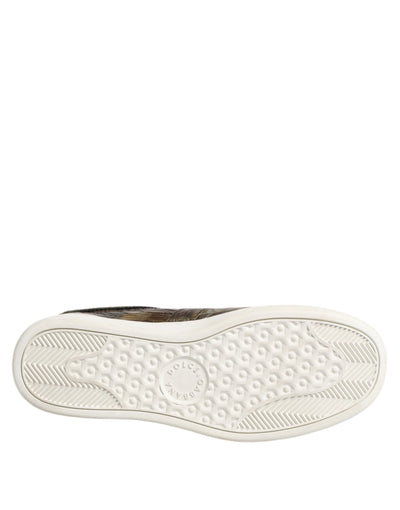 Baskets basses Dolce &amp; Gabbana en cuir exotique marron