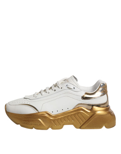 Baskets basses Dolce &amp; Gabbana Daymaster en or blanc