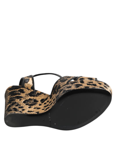 Sandales compensées à bride cheville Dolce &amp; Gabbana à motif léopard marron