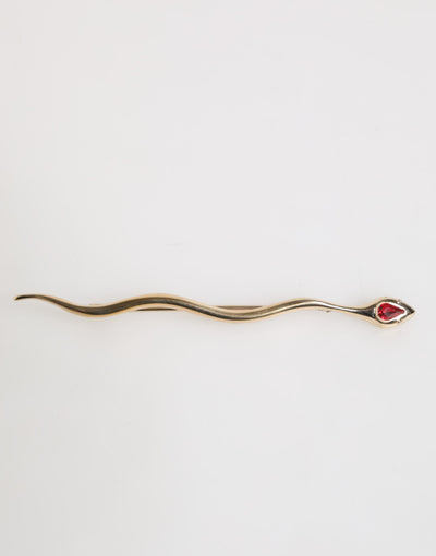 Dolce &amp; Gabbana Gouden Messing Rode Kristal Spilla Serpente Heren Broche Pin
