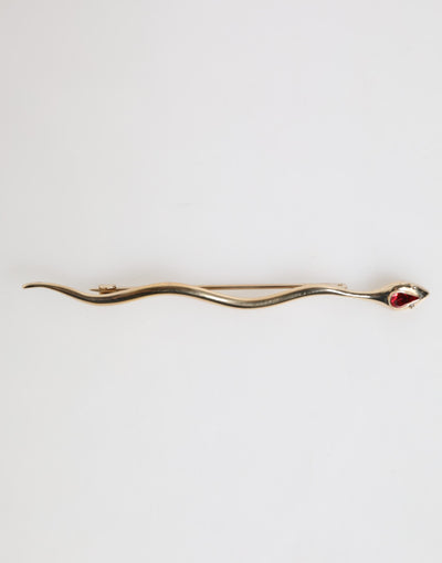 Dolce &amp; Gabbana Gouden Messing Rode Kristal Spilla Serpente Heren Broche Pin